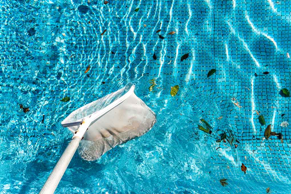 Pool technician skimming leaves from a clear blue swimming pool
